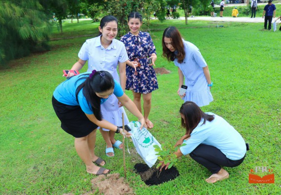 ภาพกิจกรรม คณะวิทยาศาสตร์และเทคโนโลยี เข้าร่วมโครงการ “ปลูกป่าเฉลิมพระเกียรติแม่ของแผ่นดิน”