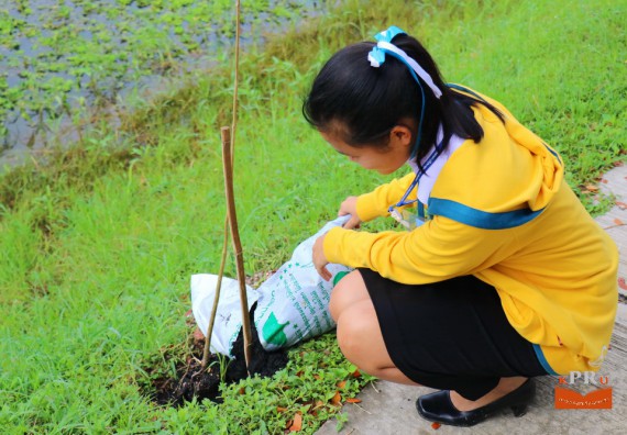 ภาพกิจกรรม คณะวิทยาศาสตร์และเทคโนโลยี เข้าร่วมโครงการ “ปลูกป่าเฉลิมพระเกียรติแม่ของแผ่นดิน”