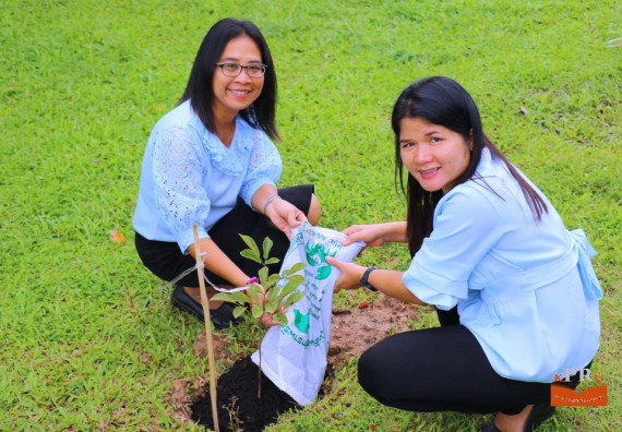 ภาพกิจกรรม คณะวิทยาศาสตร์และเทคโนโลยี เข้าร่วมโครงการ “ปลูกป่าเฉลิมพระเกียรติแม่ของแผ่นดิน”