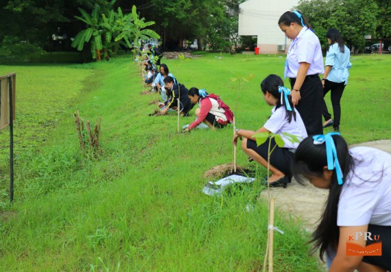 ภาพกิจกรรม คณะวิทยาศาสตร์และเทคโนโลยี เข้าร่วมโครงการ “ปลูกป่าเฉลิมพระเกียรติแม่ของแผ่นดิน”