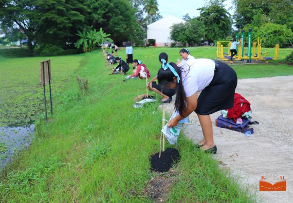 ภาพกิจกรรม คณะวิทยาศาสตร์และเทคโนโลยี เข้าร่วมโครงการ “ปลูกป่าเฉลิมพระเกียรติแม่ของแผ่นดิน”