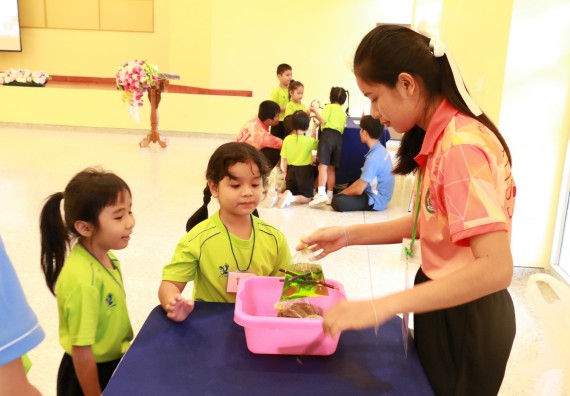 ภาพกิจกรรม คณะวิทยาศาสตร์และเทคโนโลยี จัดค่ายวิทยาศาสตร์โรงเรียนสาธิตฯ อนุบาล
