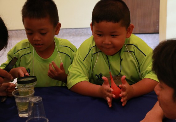 ภาพกิจกรรม คณะวิทยาศาสตร์และเทคโนโลยี จัดค่ายวิทยาศาสตร์โรงเรียนสาธิตฯ อนุบาล