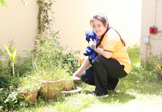 ภาพกิจกรรม คณะวิทยาศาสตร์และเทคโนโลยี เข้าร่วมกิจกรรม Big Cleaning Day ทำลายแหล่งเพาะพันธ์ลูกน้ำยุงลายภายในหน่วยงาน