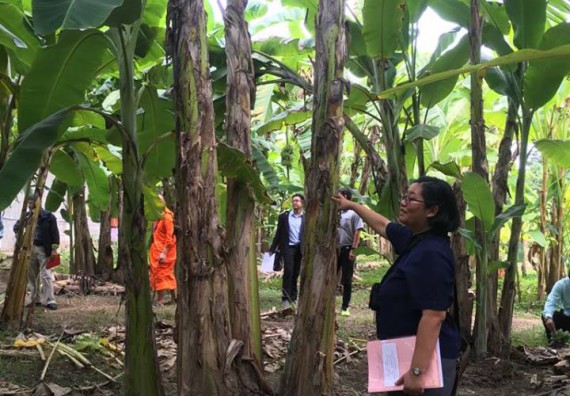 ภาพกิจกรรม โปรแกรมวิชาวิทยาศาสตร์สิ่งแวดล้อม จัดประชุมคณะอนุกรรมการกลุ่มงานอนุรักษ์พันธุกรรมพืชอันเนื่องมาจากพระราชดำริ
