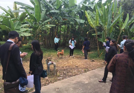 ภาพกิจกรรม โปรแกรมวิชาวิทยาศาสตร์สิ่งแวดล้อม จัดประชุมคณะอนุกรรมการกลุ่มงานอนุรักษ์พันธุกรรมพืชอันเนื่องมาจากพระราชดำริ