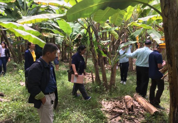 ภาพกิจกรรม โปรแกรมวิชาวิทยาศาสตร์สิ่งแวดล้อม จัดประชุมคณะอนุกรรมการกลุ่มงานอนุรักษ์พันธุกรรมพืชอันเนื่องมาจากพระราชดำริ