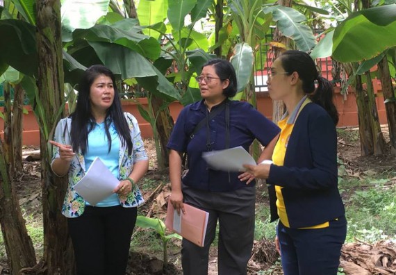 ภาพกิจกรรม โปรแกรมวิชาวิทยาศาสตร์สิ่งแวดล้อม จัดประชุมคณะอนุกรรมการกลุ่มงานอนุรักษ์พันธุกรรมพืชอันเนื่องมาจากพระราชดำริ