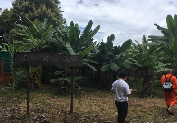 ภาพกิจกรรม โปรแกรมวิชาวิทยาศาสตร์สิ่งแวดล้อม จัดประชุมคณะอนุกรรมการกลุ่มงานอนุรักษ์พันธุกรรมพืชอันเนื่องมาจากพระราชดำริ