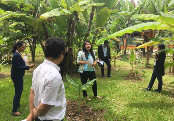 ภาพกิจกรรม โปรแกรมวิชาวิทยาศาสตร์สิ่งแวดล้อม จัดประชุมคณะอนุกรรมการกลุ่มงานอนุรักษ์พันธุกรรมพืชอันเนื่องมาจากพระราชดำริ