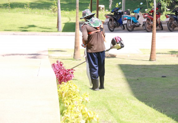 ภาพกิจกรรม คณะวิทยาศาสตร์และเทคโนโลยี จัดกิจกรรม Big Cleaning Day ทำลายแหล่งเพาะพันธ์ลูกน้ำยุงลายภายในหน่วยงาน