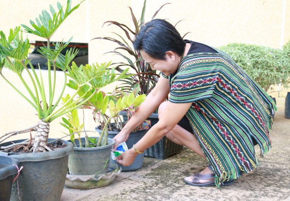 ภาพกิจกรรม คณะวิทยาศาสตร์และเทคโนโลยี จัดกิจกรรม Big Cleaning Day ทำลายแหล่งเพาะพันธ์ลูกน้ำยุงลายภายในหน่วยงาน