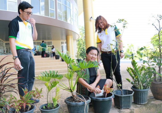 ภาพกิจกรรม คณะวิทยาศาสตร์และเทคโนโลยี จัดกิจกรรม Big Cleaning Day ทำลายแหล่งเพาะพันธ์ลูกน้ำยุงลายภายในหน่วยงาน