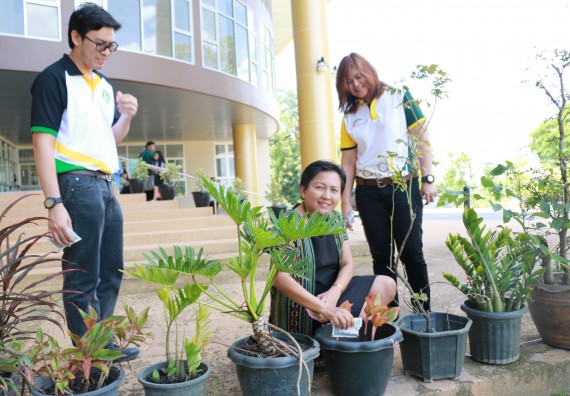 ภาพกิจกรรม คณะวิทยาศาสตร์และเทคโนโลยี จัดกิจกรรม Big Cleaning Day ทำลายแหล่งเพาะพันธ์ลูกน้ำยุงลายภายในหน่วยงาน
