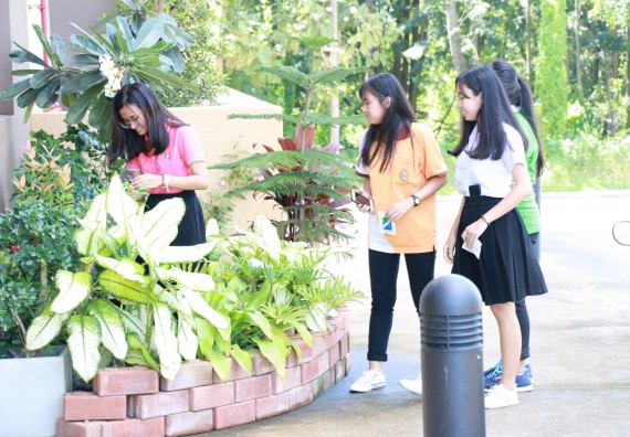 ภาพกิจกรรม คณะวิทยาศาสตร์และเทคโนโลยี จัดกิจกรรม Big Cleaning Day ทำลายแหล่งเพาะพันธ์ลูกน้ำยุงลายภายในหน่วยงาน