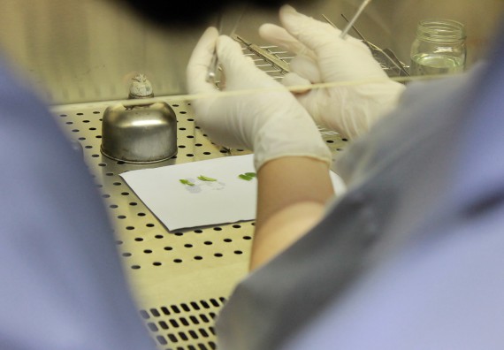 ภาพกิจกรรม คณะวิทยาศาสตร์และเทคโนโลยี จัดค่ายพัฒนาศักยภาพการเรียนรู้ของนักเรียนห้องเรียนพิเศษ