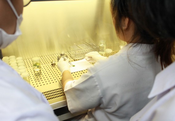 ภาพกิจกรรม คณะวิทยาศาสตร์และเทคโนโลยี จัดค่ายพัฒนาศักยภาพการเรียนรู้ของนักเรียนห้องเรียนพิเศษ