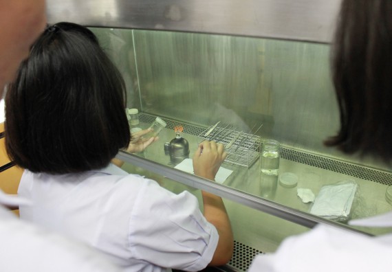 ภาพกิจกรรม คณะวิทยาศาสตร์และเทคโนโลยี จัดค่ายพัฒนาศักยภาพการเรียนรู้ของนักเรียนห้องเรียนพิเศษ