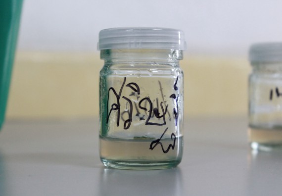 ภาพกิจกรรม คณะวิทยาศาสตร์และเทคโนโลยี จัดค่ายพัฒนาศักยภาพการเรียนรู้ของนักเรียนห้องเรียนพิเศษ