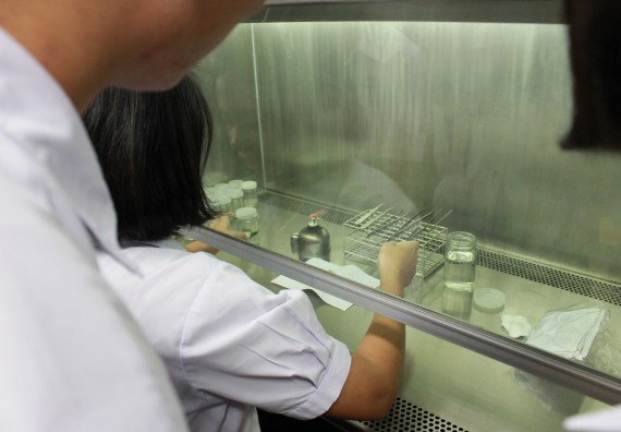 ภาพกิจกรรม คณะวิทยาศาสตร์และเทคโนโลยี จัดค่ายพัฒนาศักยภาพการเรียนรู้ของนักเรียนห้องเรียนพิเศษ