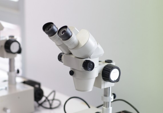 ภาพกิจกรรม คณะวิทยาศาสตร์และเทคโนโลยี จัดค่ายวิทยาศาสตร์โรงเรียนสาธิตฯ