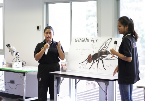 ภาพกิจกรรม คณะวิทยาศาสตร์และเทคโนโลยี จัดค่ายวิทยาศาสตร์โรงเรียนสาธิตฯ