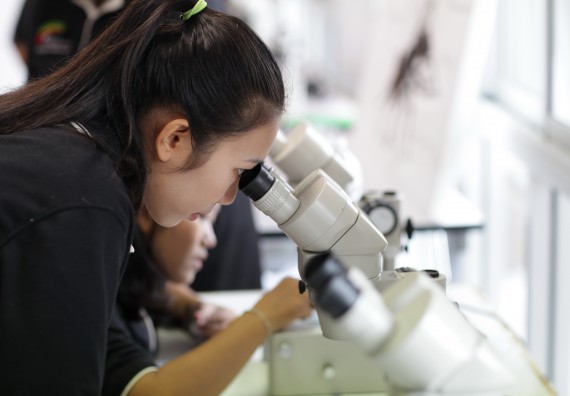 ภาพกิจกรรม คณะวิทยาศาสตร์และเทคโนโลยี จัดค่ายวิทยาศาสตร์โรงเรียนสาธิตฯ