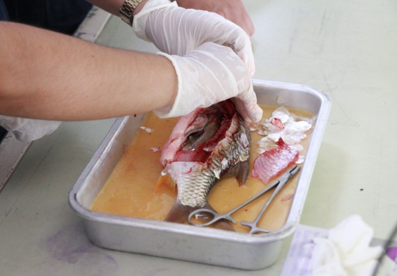 ภาพกิจกรรม คณะวิทยาศาสตร์และเทคโนโลยี จัดค่ายวิทยาศาสตร์โรงเรียนตากพิทยาคม