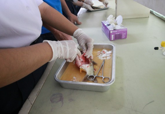 ภาพกิจกรรม คณะวิทยาศาสตร์และเทคโนโลยี จัดค่ายวิทยาศาสตร์โรงเรียนตากพิทยาคม