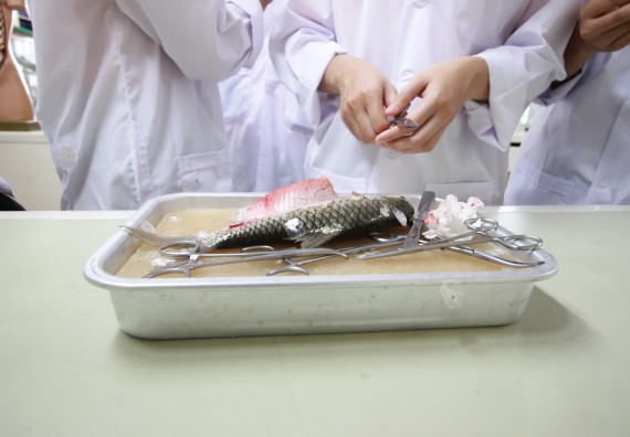 ภาพกิจกรรม คณะวิทยาศาสตร์และเทคโนโลยี จัดค่ายวิทยาศาสตร์โรงเรียนตากพิทยาคม