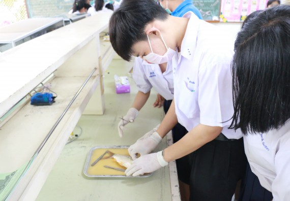 ภาพกิจกรรม คณะวิทยาศาสตร์และเทคโนโลยี จัดค่ายวิทยาศาสตร์โรงเรียนตากพิทยาคม