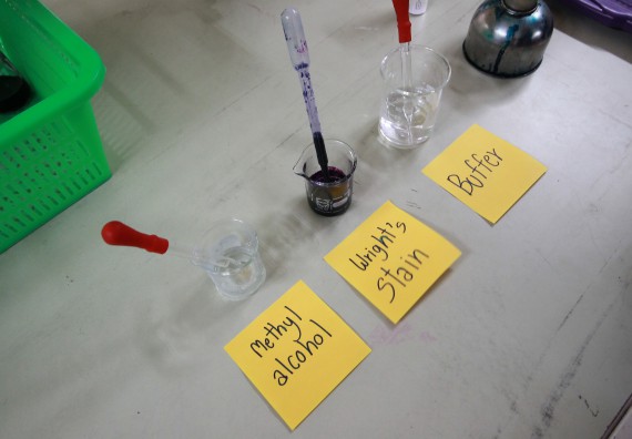 ภาพกิจกรรม คณะวิทยาศาสตร์และเทคโนโลยี จัดค่ายวิทยาศาสตร์โรงเรียนตากพิทยาคม