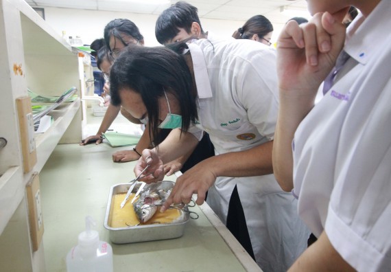 ภาพกิจกรรม คณะวิทยาศาสตร์และเทคโนโลยี จัดค่ายวิทยาศาสตร์โรงเรียนตากพิทยาคม
