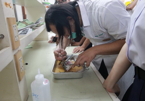 ภาพกิจกรรม คณะวิทยาศาสตร์และเทคโนโลยี จัดค่ายวิทยาศาสตร์โรงเรียนตากพิทยาคม