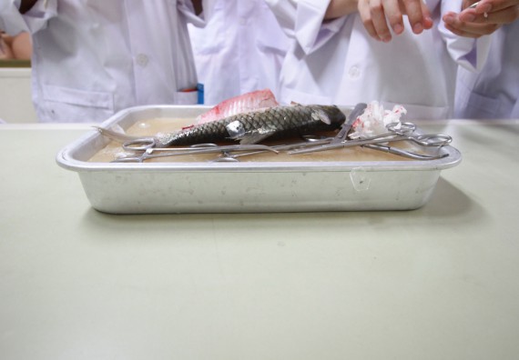 ภาพกิจกรรม คณะวิทยาศาสตร์และเทคโนโลยี จัดค่ายวิทยาศาสตร์โรงเรียนตากพิทยาคม