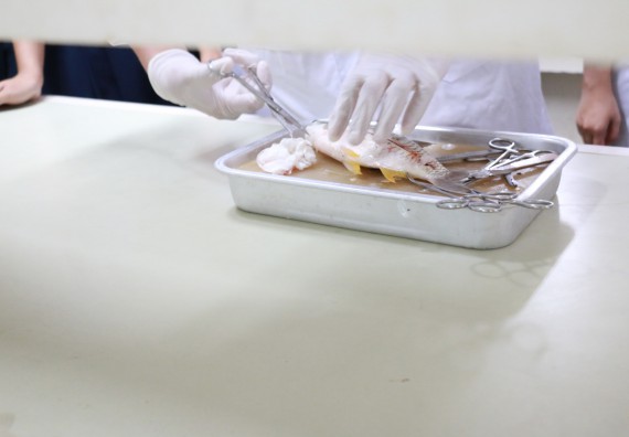 ภาพกิจกรรม คณะวิทยาศาสตร์และเทคโนโลยี จัดค่ายวิทยาศาสตร์โรงเรียนตากพิทยาคม