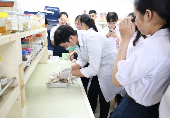 ภาพกิจกรรม คณะวิทยาศาสตร์และเทคโนโลยี จัดค่ายวิทยาศาสตร์โรงเรียนตากพิทยาคม