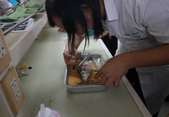 ภาพกิจกรรม คณะวิทยาศาสตร์และเทคโนโลยี จัดค่ายวิทยาศาสตร์โรงเรียนตากพิทยาคม