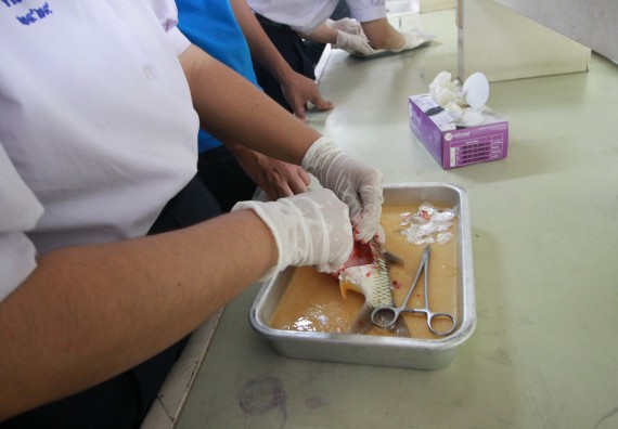 ภาพกิจกรรม คณะวิทยาศาสตร์และเทคโนโลยี จัดค่ายวิทยาศาสตร์โรงเรียนตากพิทยาคม