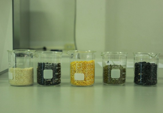 ภาพกิจกรรม โปรแกรมวิชาวิทยาศาสตร์และเทคโนโลยีการอาหาร จัดอบรมเชิงปฏิบัติการ เรื่อง อาหารปลอดภัยในโรงเรียน