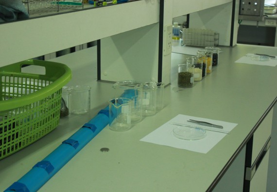 ภาพกิจกรรม โปรแกรมวิชาวิทยาศาสตร์และเทคโนโลยีการอาหาร จัดอบรมเชิงปฏิบัติการ เรื่อง อาหารปลอดภัยในโรงเรียน