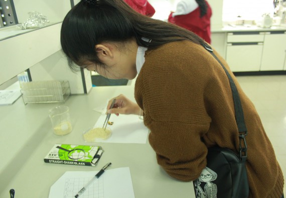 ภาพกิจกรรม โปรแกรมวิชาวิทยาศาสตร์และเทคโนโลยีการอาหาร จัดอบรมเชิงปฏิบัติการ เรื่อง อาหารปลอดภัยในโรงเรียน