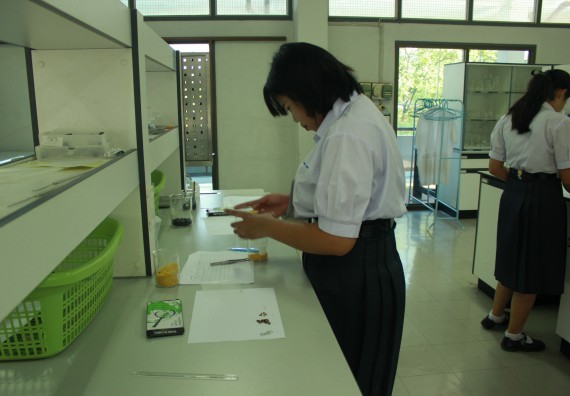 ภาพกิจกรรม โปรแกรมวิชาวิทยาศาสตร์และเทคโนโลยีการอาหาร จัดอบรมเชิงปฏิบัติการ เรื่อง อาหารปลอดภัยในโรงเรียน