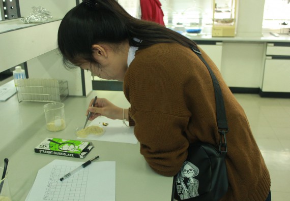 ภาพกิจกรรม โปรแกรมวิชาวิทยาศาสตร์และเทคโนโลยีการอาหาร จัดอบรมเชิงปฏิบัติการ เรื่อง อาหารปลอดภัยในโรงเรียน