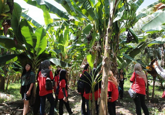 ภาพกิจกรรม คณะวิทยาศาสตร์และเทคโนโลยี เข้าร่วมกิจกรรม global student success program