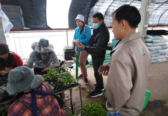 ภาพกิจกรรม ศูนย์วิทยาศาสตร์และวิทยาสาสตร์ประยุกต์ จัดการศึกษาดูงานโครงการหลวงดอยอินทนนท์ และหอดูดาวแห่งชาติ