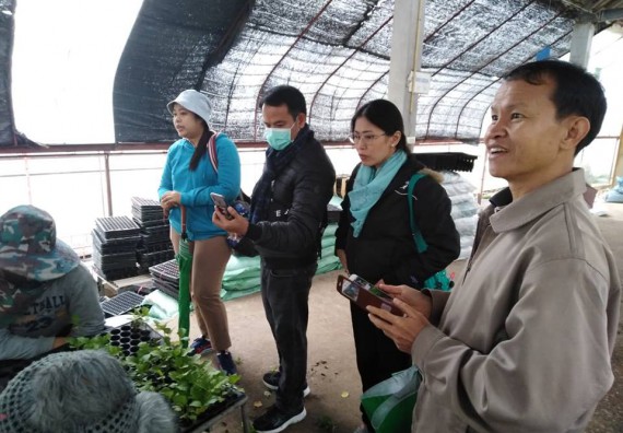 ภาพกิจกรรม ศูนย์วิทยาศาสตร์และวิทยาสาสตร์ประยุกต์ จัดการศึกษาดูงานโครงการหลวงดอยอินทนนท์ และหอดูดาวแห่งชาติ
