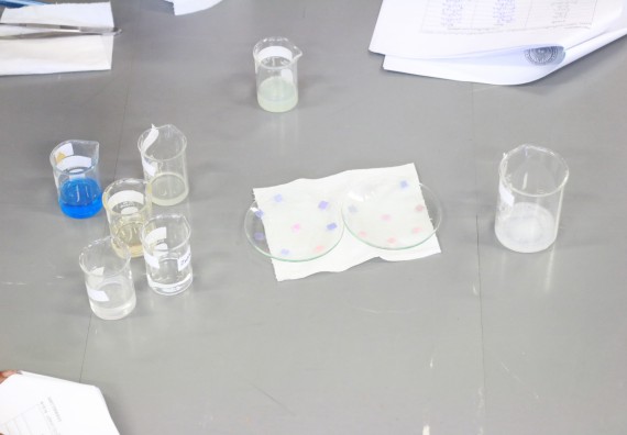 ภาพกิจกรรม คณะวิทยาศาสตร์และเทคโนโลยี จัดค่ายวิทยาศาสตร์ตามโครงการพัฒนาศักยภาพผู้เรียนในระดับการศึกษาขั้นพื้นฐาน ระยะที่ 2 ประจำปีงบประมาณ 2562