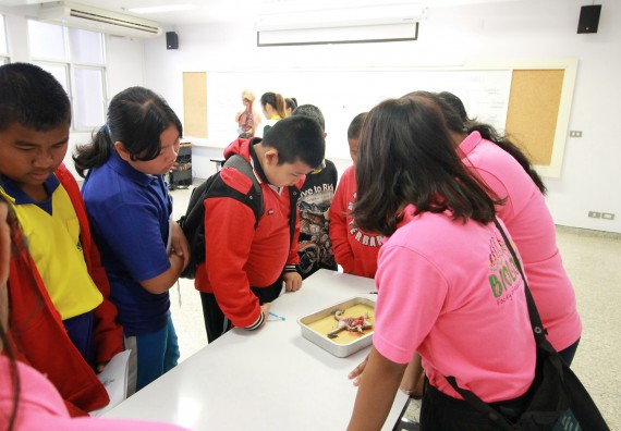 ภาพกิจกรรม คณะวิทยาศาสตร์และเทคโนโลยี จัดค่ายวิทยาศาสตร์ตามโครงการพัฒนาศักยภาพผู้เรียนในระดับการศึกษาขั้นพื้นฐาน ระยะที่ 2 ประจำปีงบประมาณ 2562