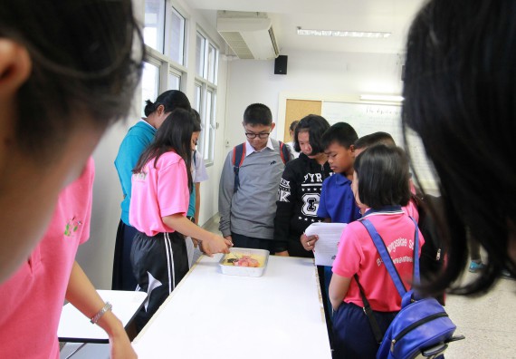 ภาพกิจกรรม คณะวิทยาศาสตร์และเทคโนโลยี จัดค่ายวิทยาศาสตร์ตามโครงการพัฒนาศักยภาพผู้เรียนในระดับการศึกษาขั้นพื้นฐาน ระยะที่ 2 ประจำปีงบประมาณ 2562